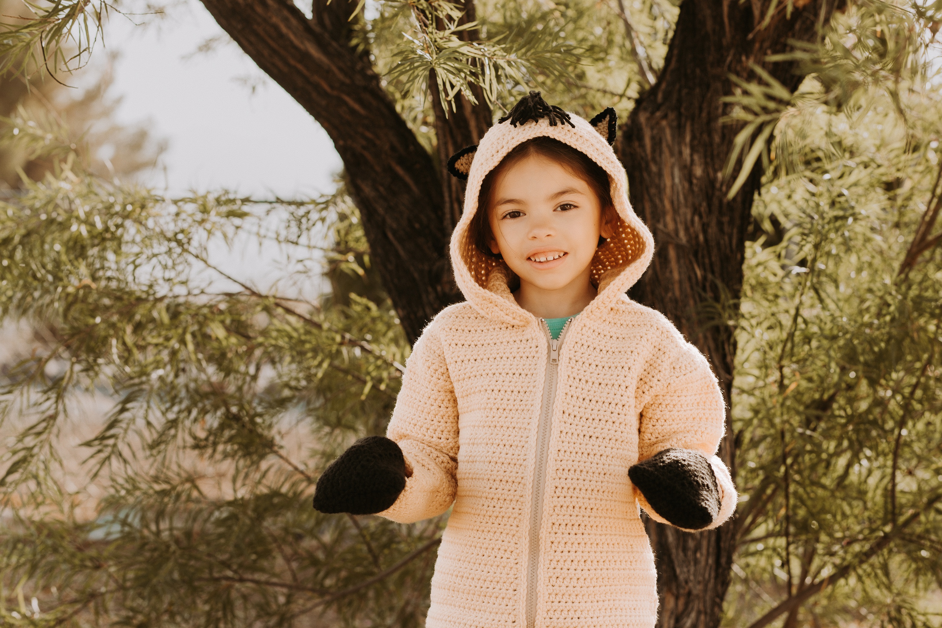Horse Hoodie pattern