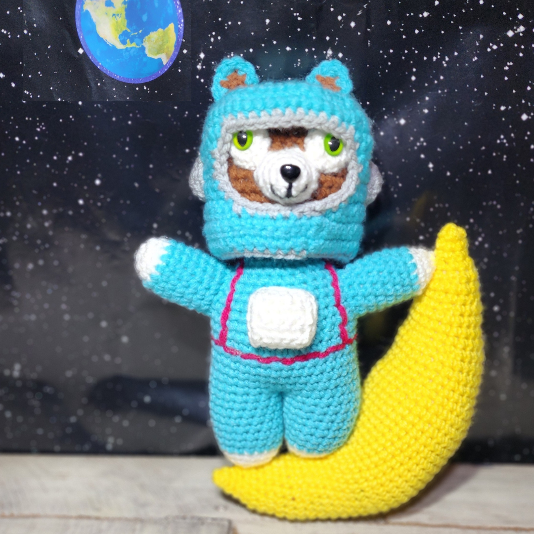 Meow on the Moon pattern